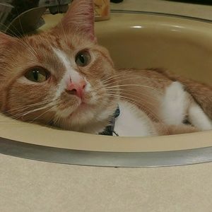 Meet your Posher, Maryellen